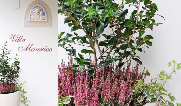 Residence Villa Maurice 스트레사 외부 사진
